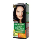 Garnier Color Naturals Permanent Hair Color 2.1 (Blue Black)
